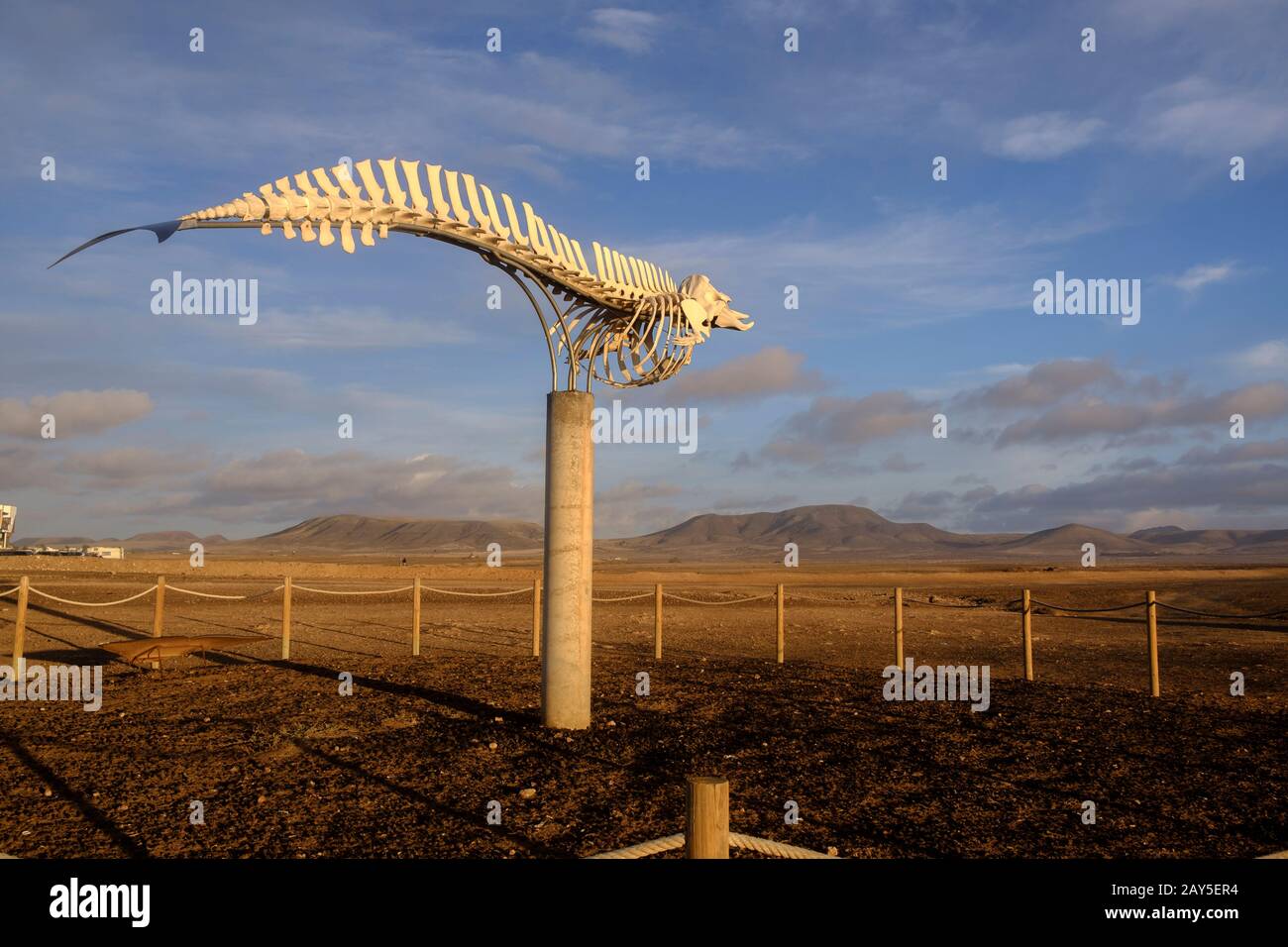 Scheletro di balena statua El Cotillo La Oliva Fuerteventura Isole Canarie Spagna Foto Stock