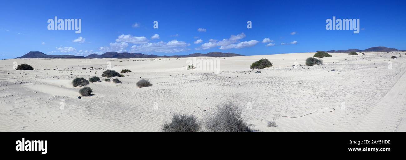 Dune Area Parque Natural de Corralejo, Fuerteventura, Spagna, Canarie Foto Stock