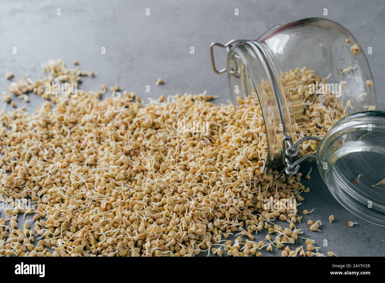 Colpo orizzontale di germogli di grano saraceno in vaso di vetro su sfondo grigio. Alimentazione ecologica. Concetto di fitness e dieta. Semi di grano saraceno germinati Foto Stock