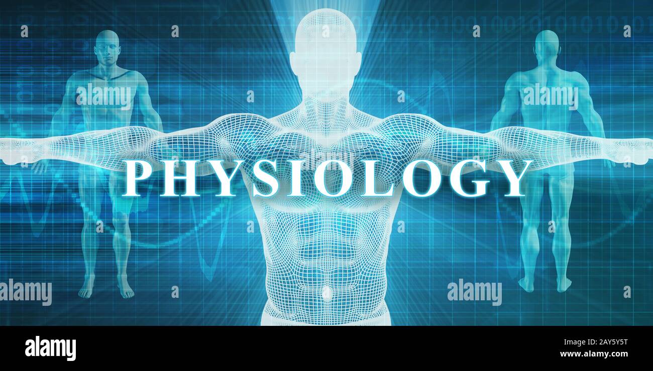 Fisiologia Foto Stock