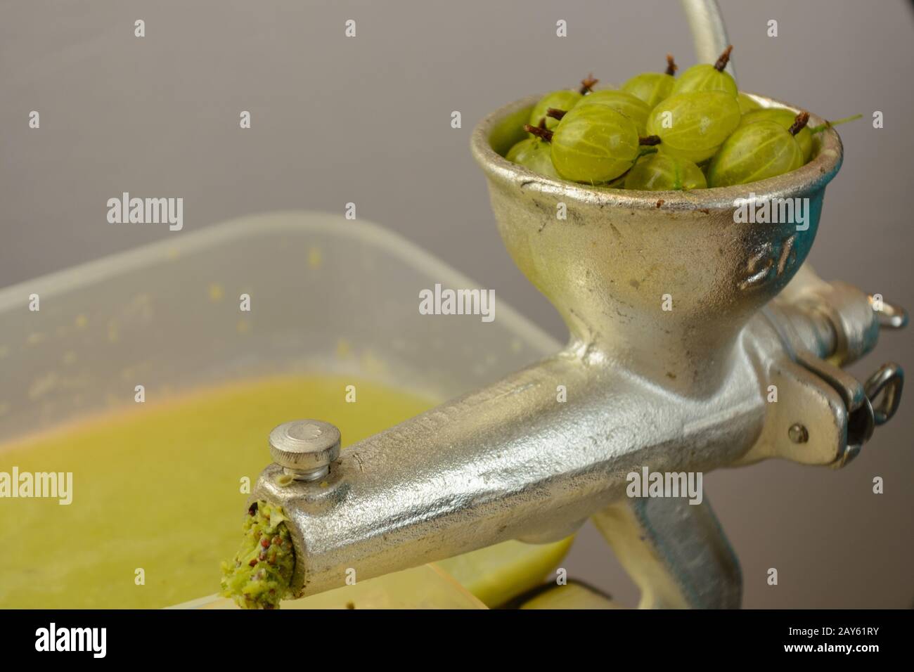I mirtilli d'oca verdi vengono pressati in una pressa per frutta - primo piano Foto Stock
