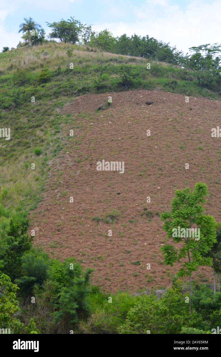 Il disboscamento della foresta e il sovrascarimento causano erosione della pendenza ai piedi della catena montuosa della Sierra Maestra, comune di Guisa, Cuba meridionale Foto Stock
