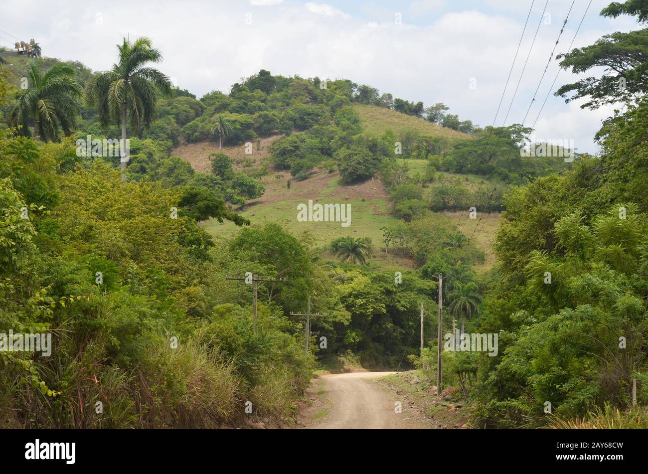 Piccoli resti della foresta tropicale fortemente registrata ai piedi della catena montuosa della Sierra Maestra, comune di Guisa, Cuba meridionale Foto Stock