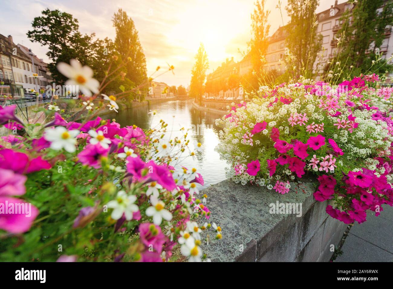 Decorazione dei fiori della città sul ponte che si affaccia sul fiume l'ill a Strasburgo Foto Stock