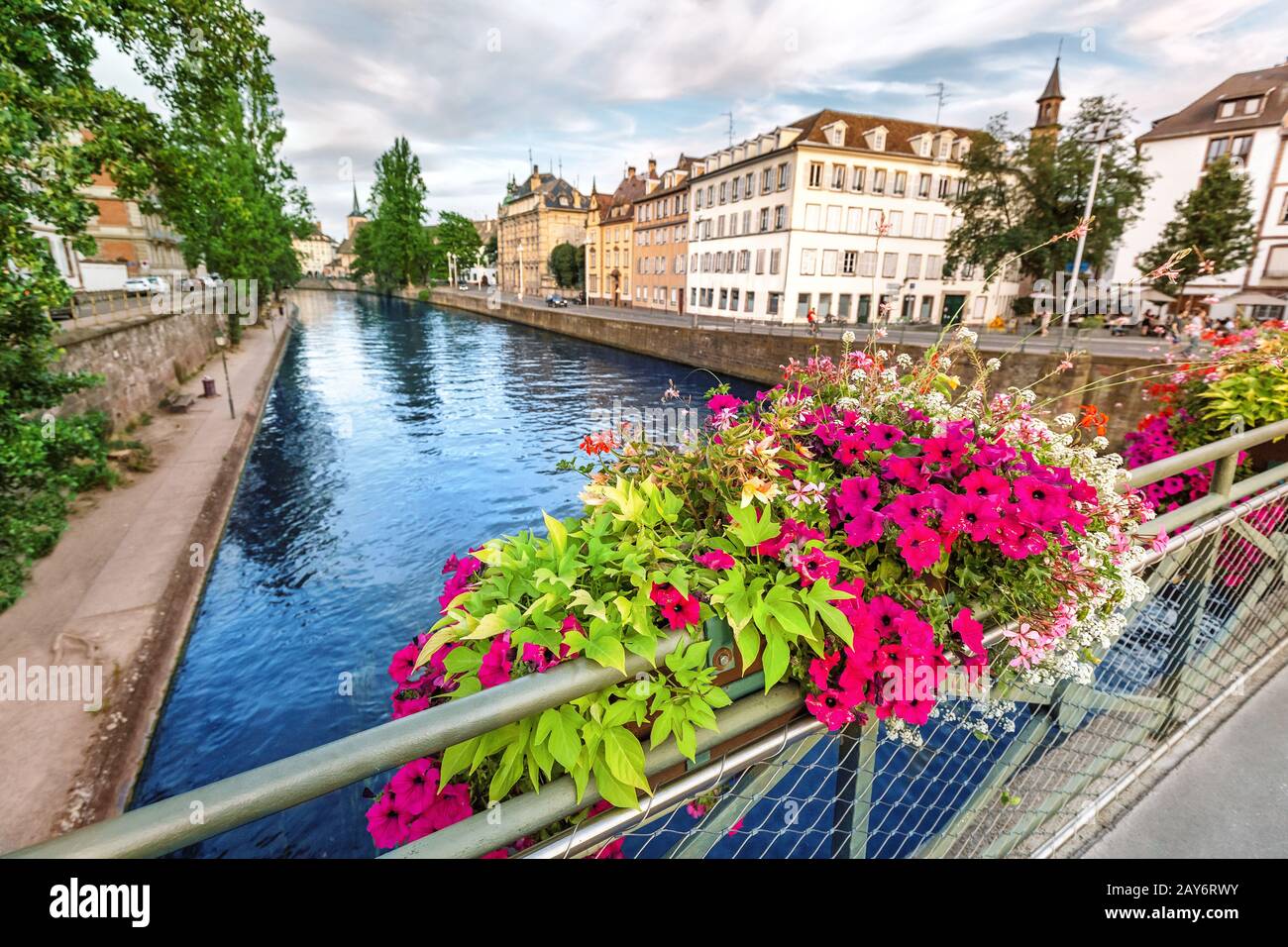 Decorazione dei fiori della città sul ponte che si affaccia sul fiume l'ill a Strasburgo Foto Stock