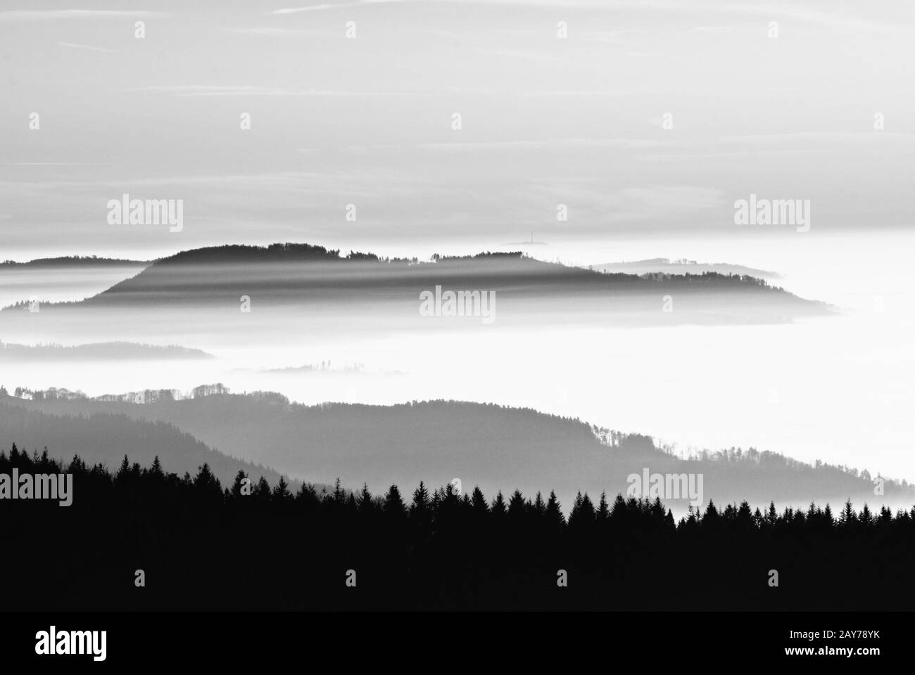 foresta Nera settentrionale e la Valle del Reno superiore nella nebbia Germania bianco e nero Foto Stock