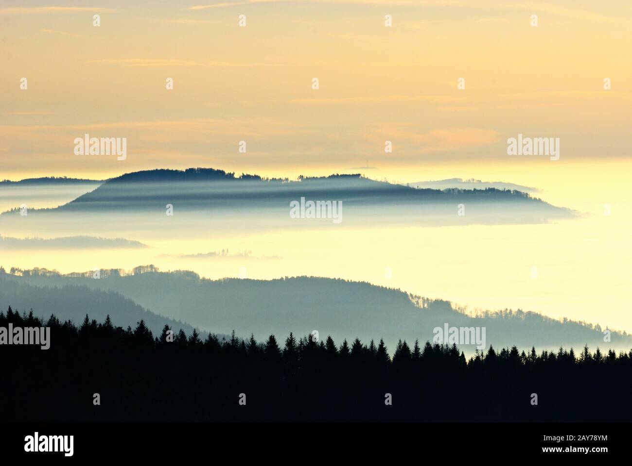 foresta Nera settentrionale e la Valle del Reno superiore nella nebbia tedesca Foto Stock