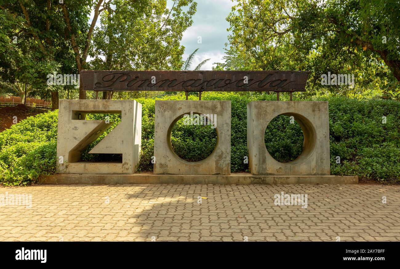 Il Pinnawala Open Zoo è un giardino zoologico a Pinnawala. Questo è il primo zoo all'aperto e il secondo zoo dello Sri Lanka dopo lo zoo di Dehiwala Foto Stock