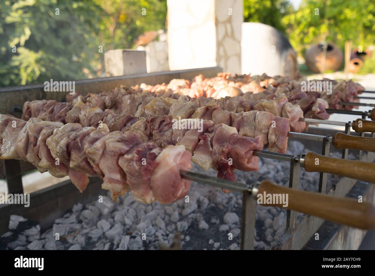 Spiedini fritti essendo fuori di porte in un parco su Cipro Foto Stock