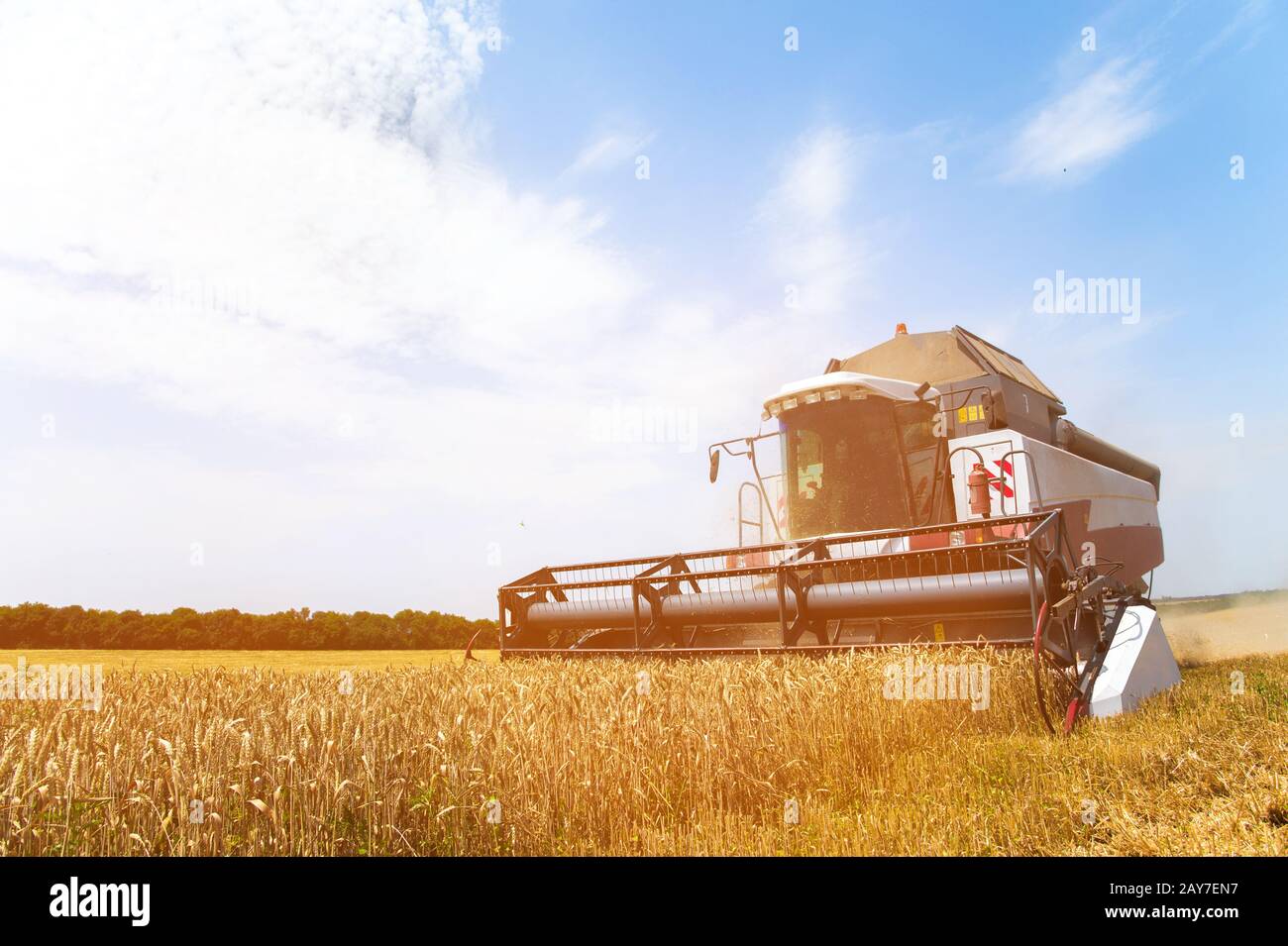 Il lavoro di una mietitrebbia su un campo di grano in una giornata di sole Foto Stock