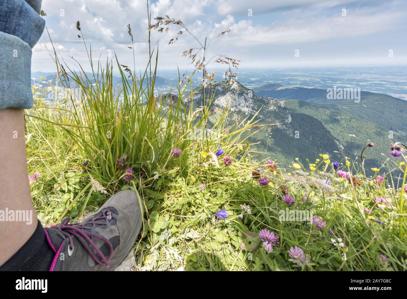 Erbe selvatiche di fronte a un massiccio montano Foto Stock