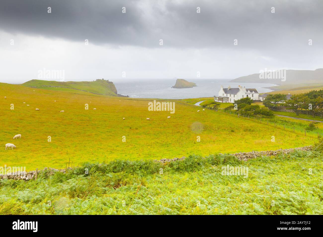 Una tipica fattoria con allevamento di pecore nell'isola di Skye Foto Stock