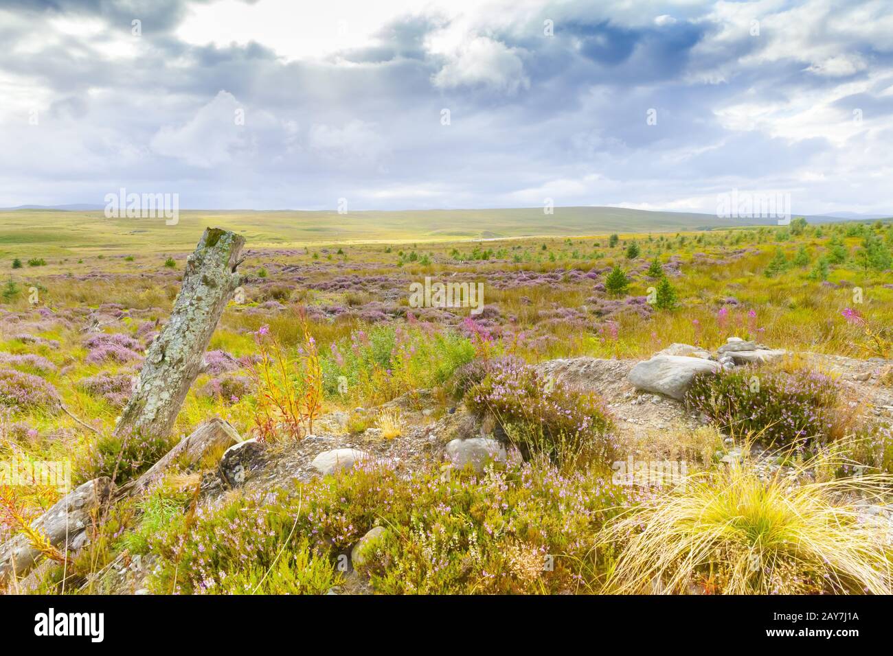 Highlands scozzesi in estate effetti speciali con cielo parzialmente nuvoloso Scozia Foto Stock
