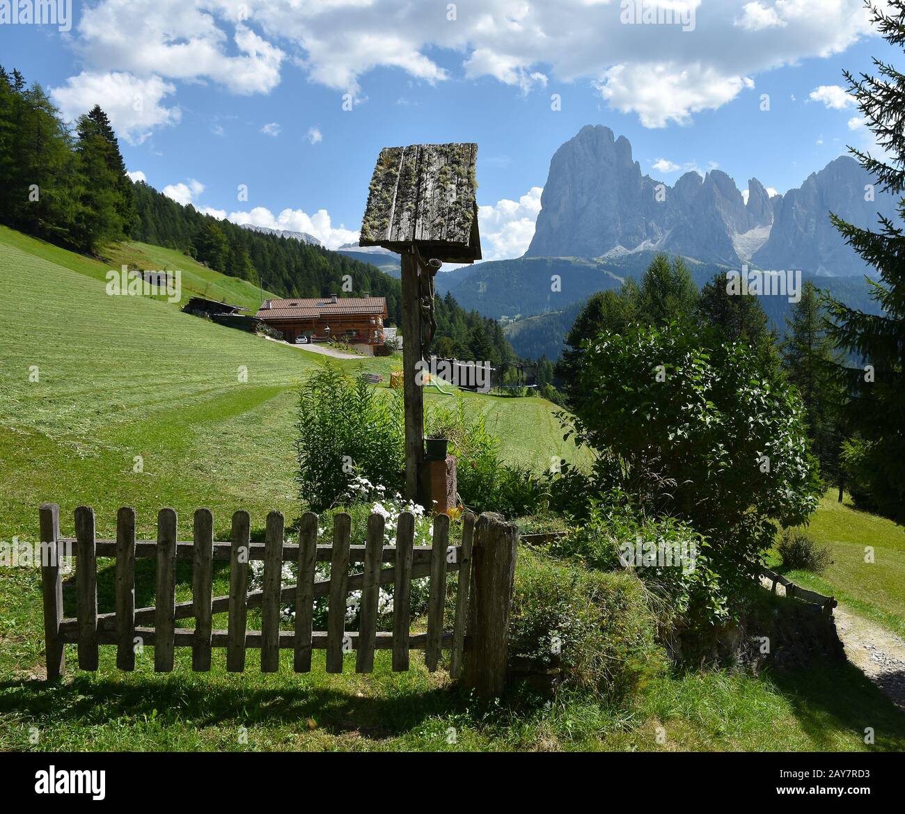 traversata lungo il percorso delle alpi dolomitiche; vista sul Langkofel-Group; Alto Adige; Italia; Foto Stock