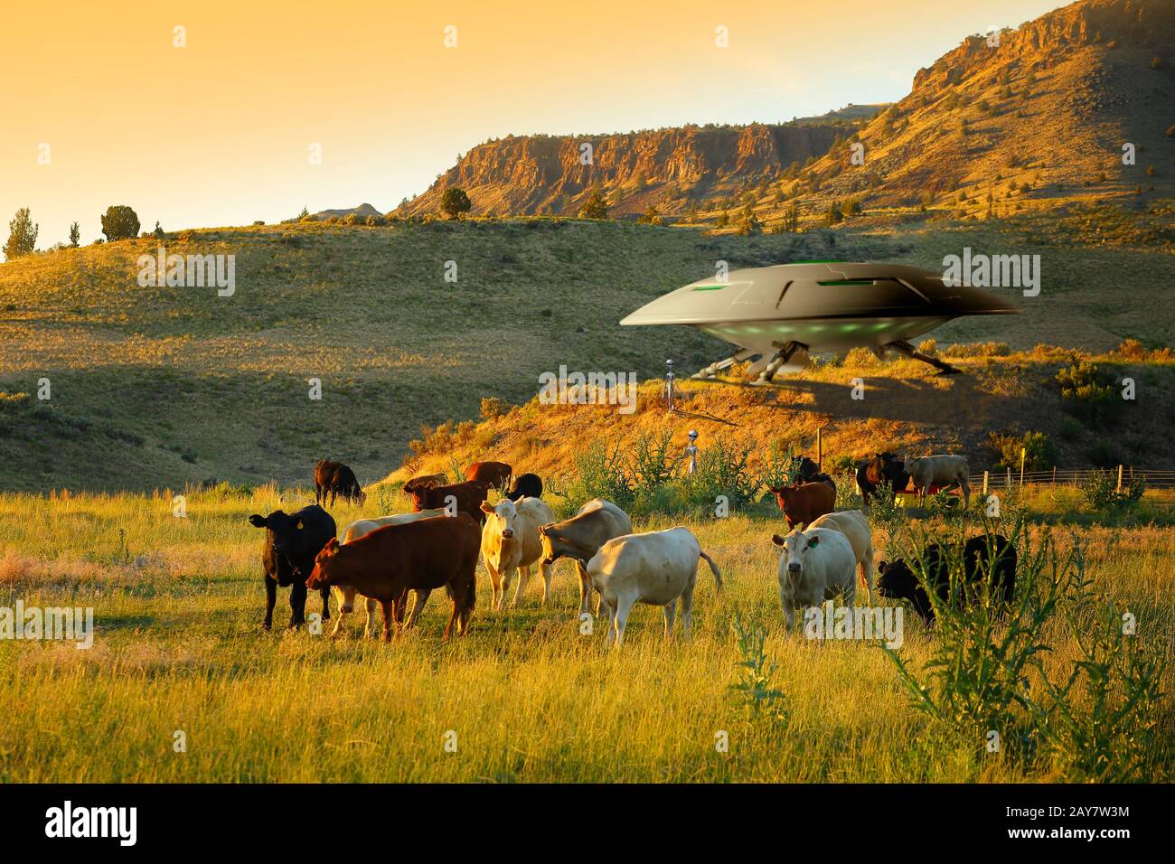 Alieni al di fuori di un UFO il mese di marzo per rapire alcune mucche. Foto Stock