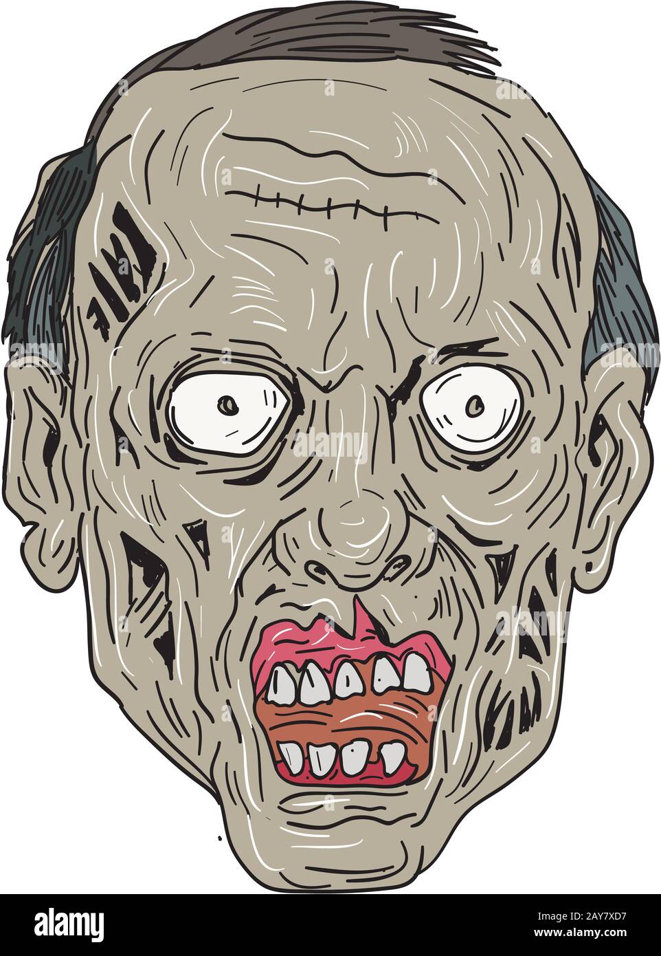 Testa di zombie disegno anteriore Foto stock - Alamy