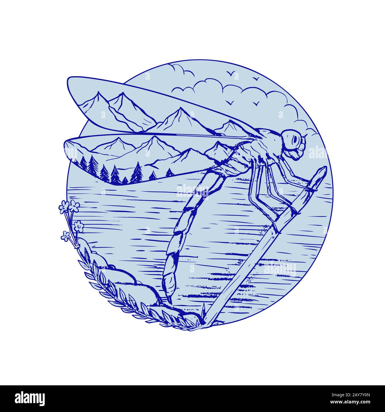Dragonfly Montagne in ali disegno Foto Stock