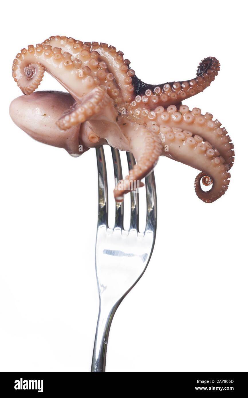 Seppie su una forchetta su sfondo bianco Foto Stock