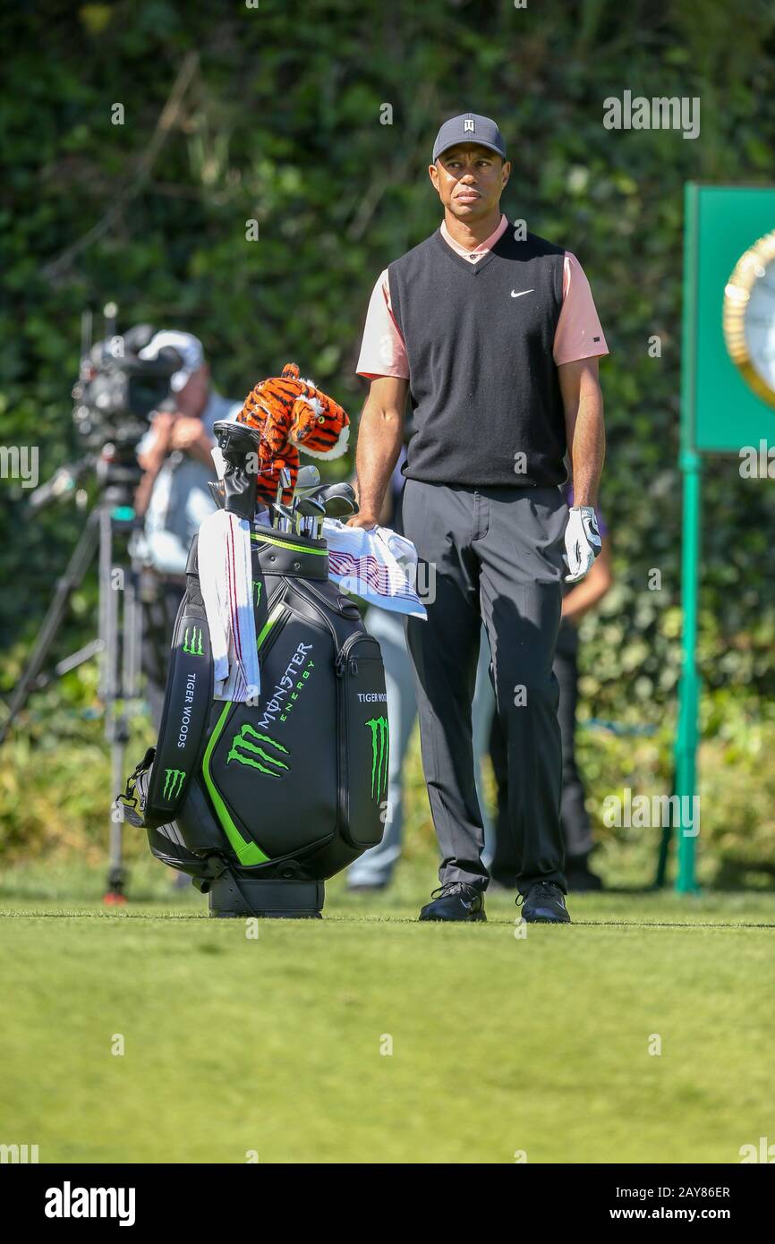 Los Angeles, Stati Uniti. 13th Feb, 2020. Tiger Woods sul quinto buco durante il primo turno della Genesis Invitational al Riviera Country Club, giovedì 13 febbraio 2020, nell'area delle Palisades del Pacifico di Los Angeles. Credit: Agenzia Fotografica Sportiva Europea/Alamy Live News Foto Stock