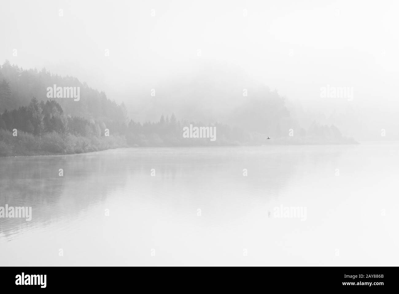 Lago d'arte bianco e nero con nebbia Foto Stock