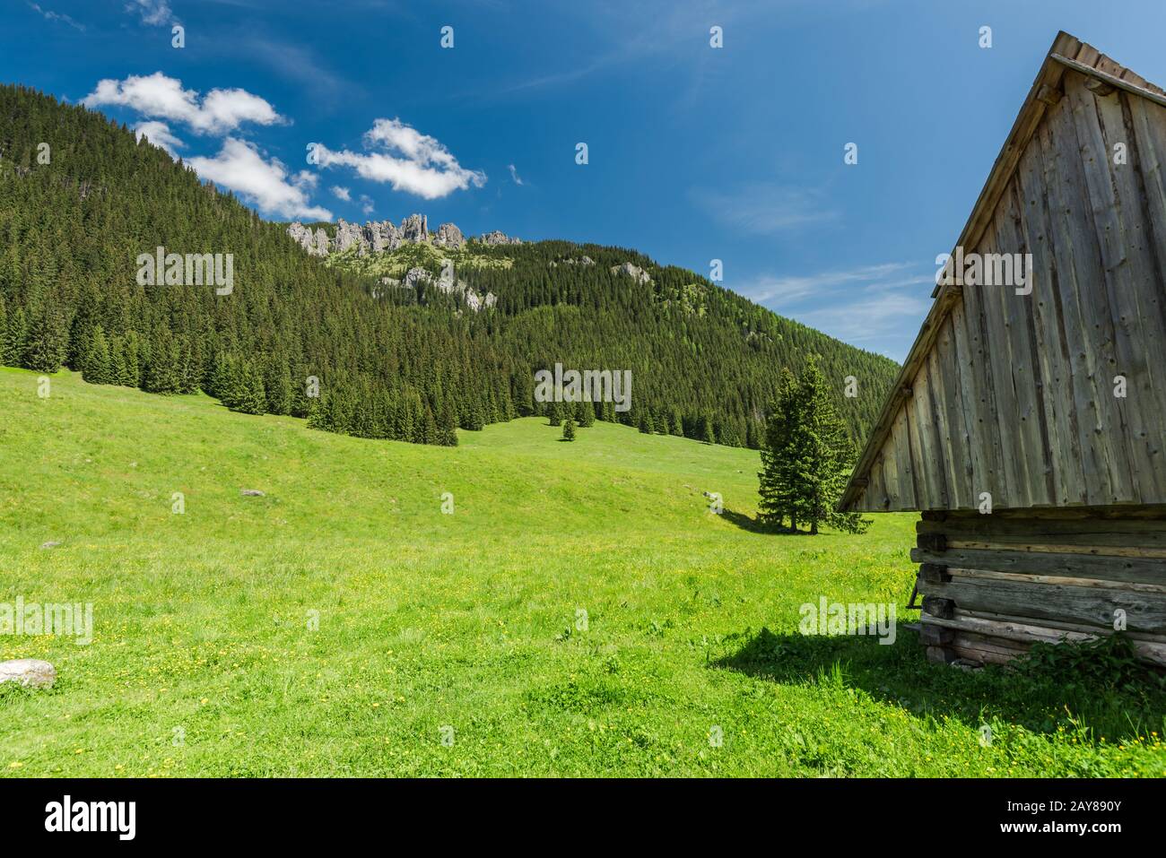 Tradizionale cabina in legno nella Valle di Chocholowska Foto Stock