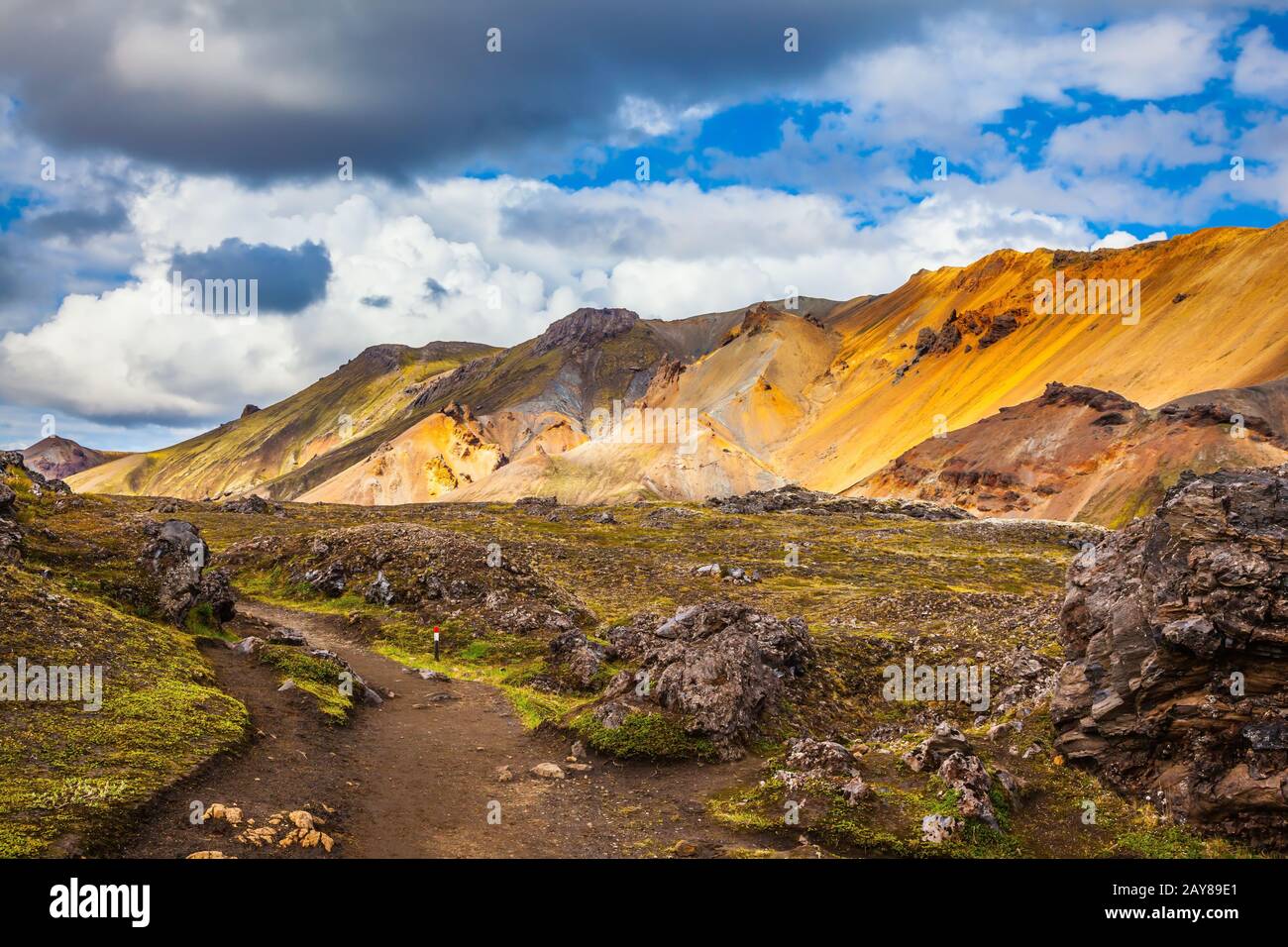 Viaggio in Islanda nel mese di luglio, tundra vulcanica estiva. Montagne multicolore di riolite - arancione, giallo, verde e blu Foto Stock