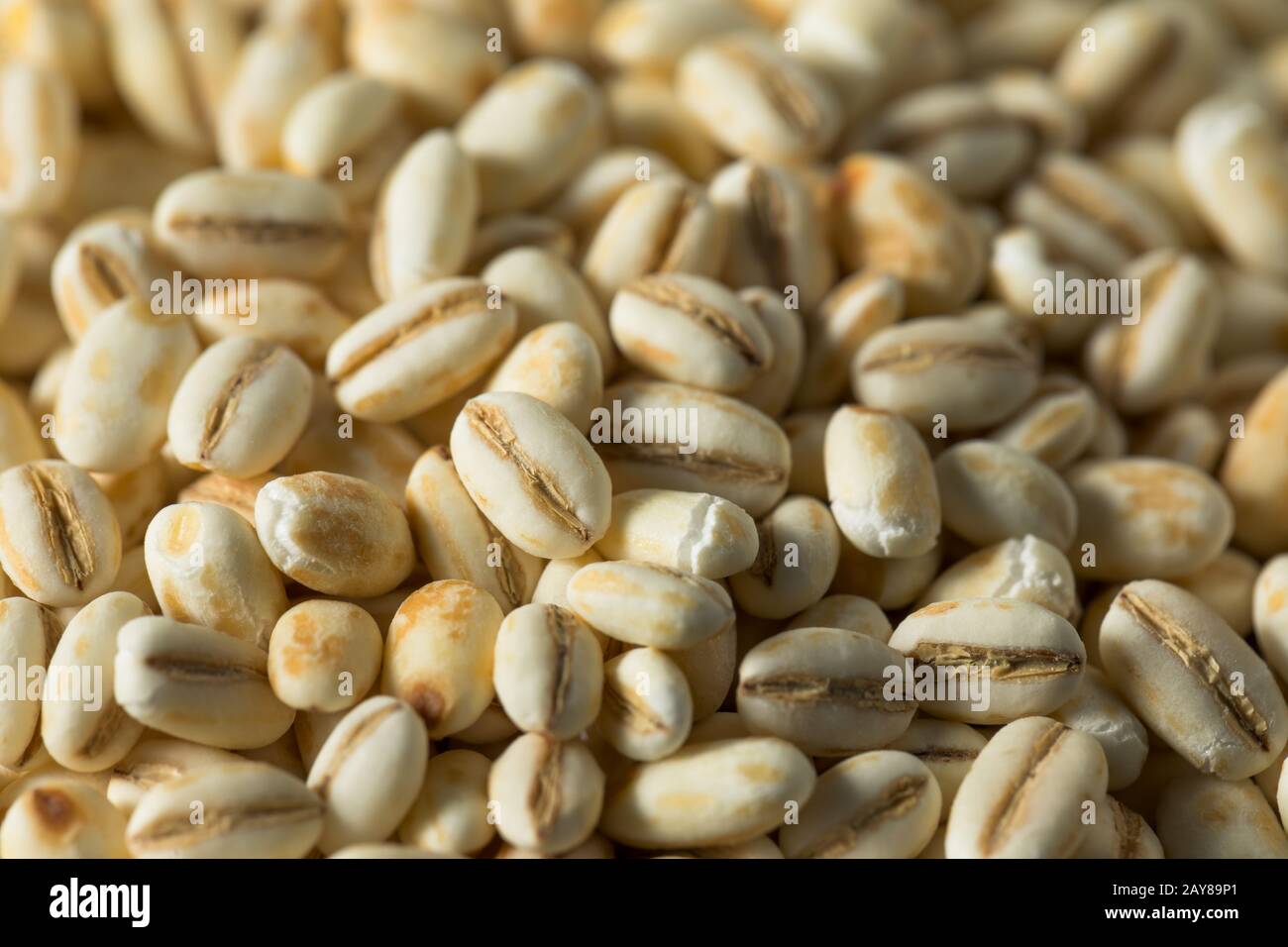 Barley Perle Italiano Grezzo Biologico In Una Ciotola Foto Stock