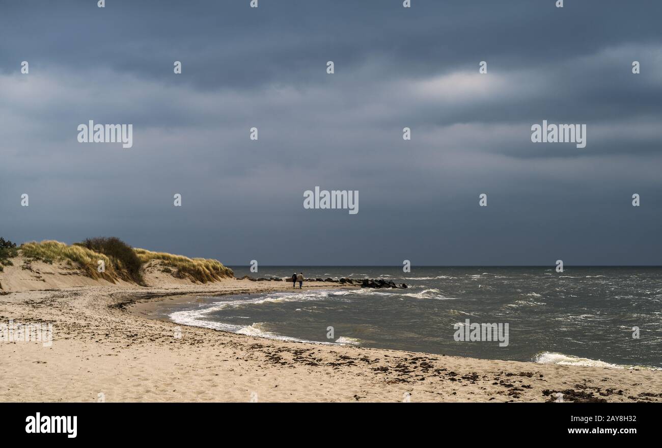 Escursioni sulla spiaggia naturale di Thiessow Foto Stock