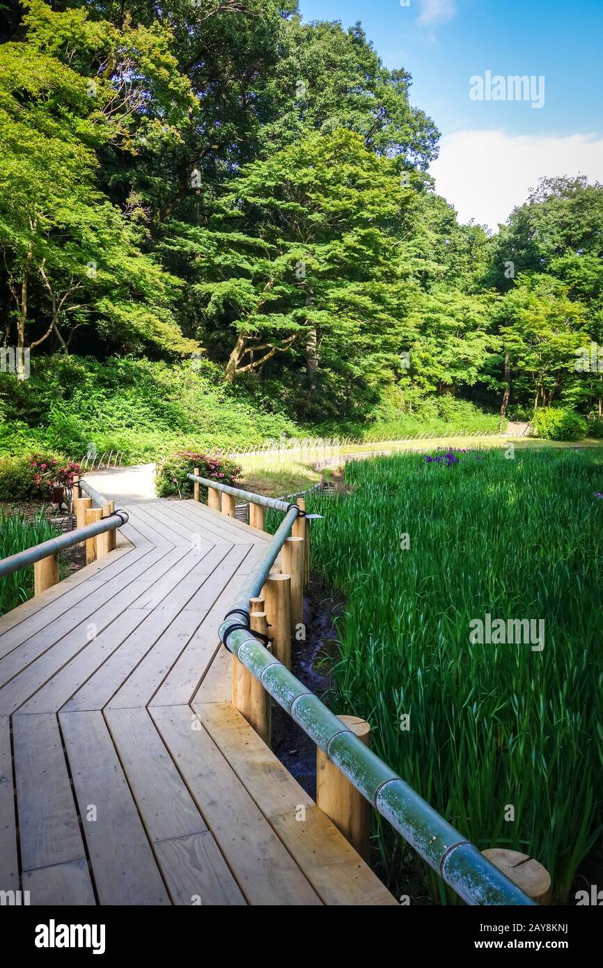 Meiji jingu giardino interno, yoyogi park, Tokyo, Giappone Foto Stock