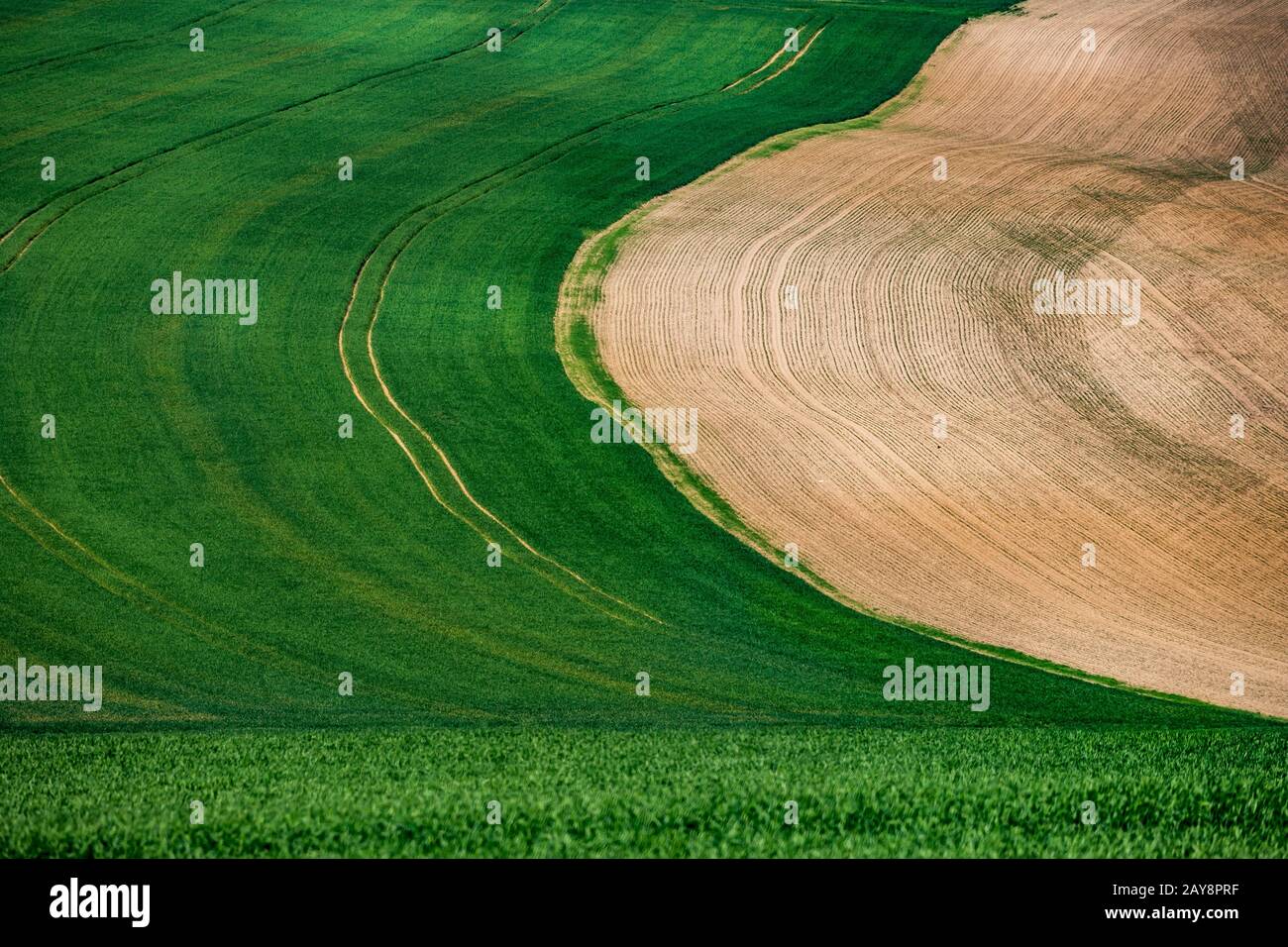 Paesaggio ondulato nella Boemia Centrale Foto Stock