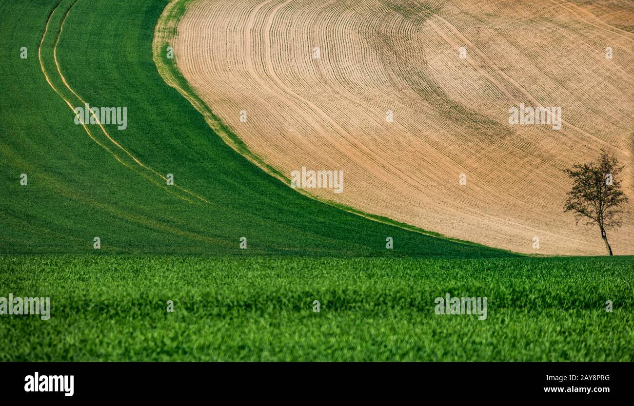 Paesaggio ondulato nella Boemia Centrale Foto Stock