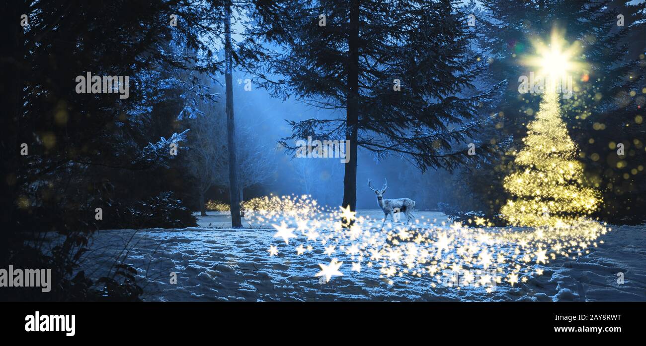 Magica scena di natale nei boschi con un cervo Foto Stock