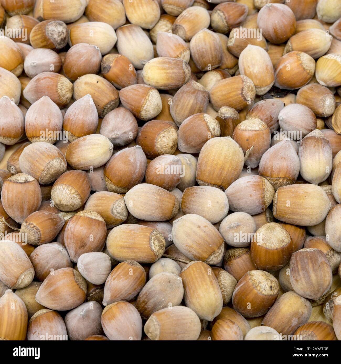 Molti marrone formato nocciole di riempimento come sfondo Foto Stock