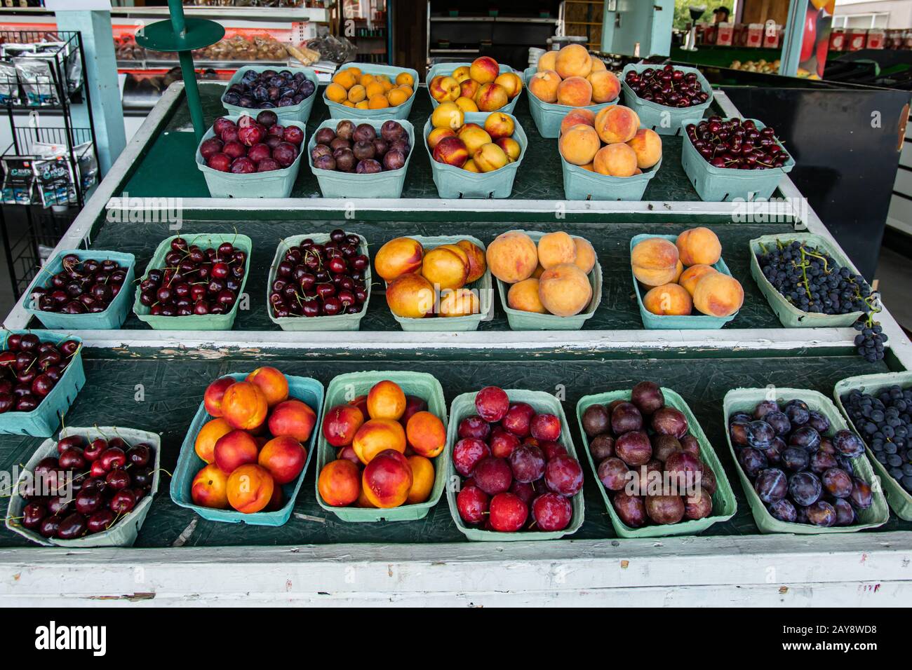 Primo piano di scatole di cartone verde ordinatamente organizzato di frutta mista colorata e lucida.mercato alimentare locale ambiente sullo sfondo. Varietà di scelta. Foto Stock