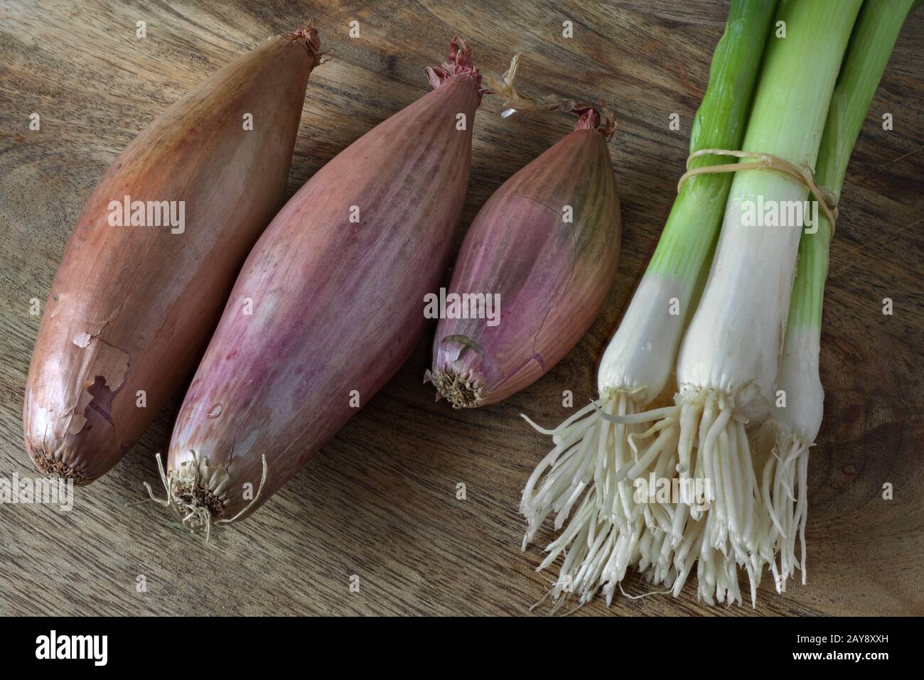 Scalogni e cipolle primaverili Foto Stock