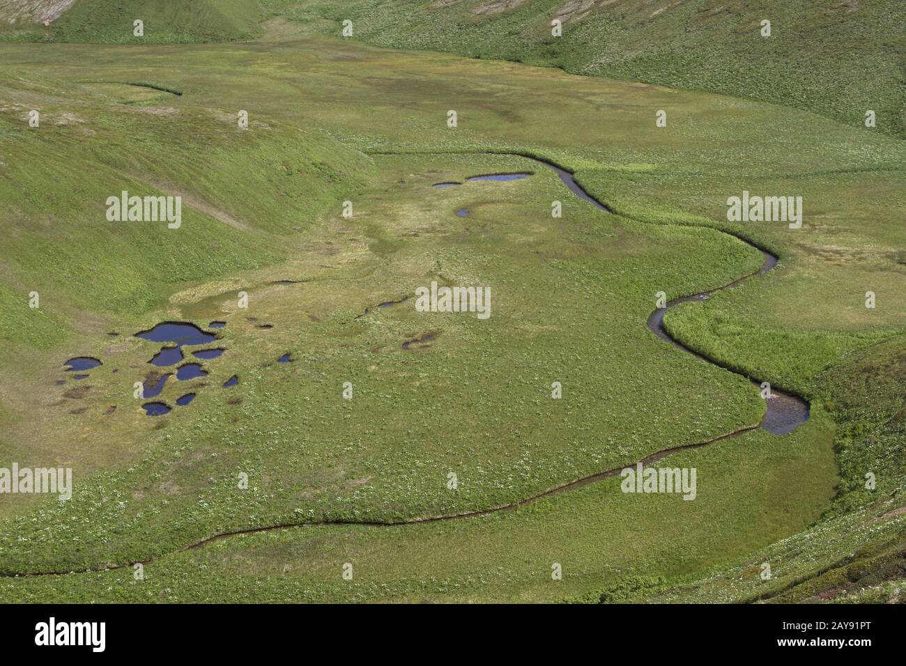 Panorama dalla parte superiore della cassa di espansione del fiume con la tundra laghi tra due colline su un giorno di estate Foto Stock