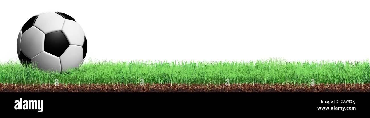 Campo da Soccerball vista ravvicinata in erba Foto Stock