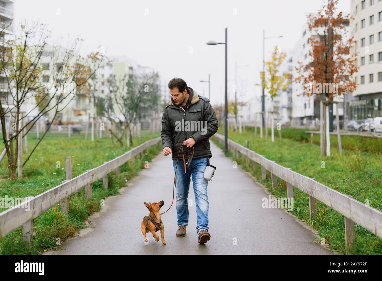 Un uomo e il suo piccolo cane stanno praticando camminare verso il tallone nel parco Foto Stock