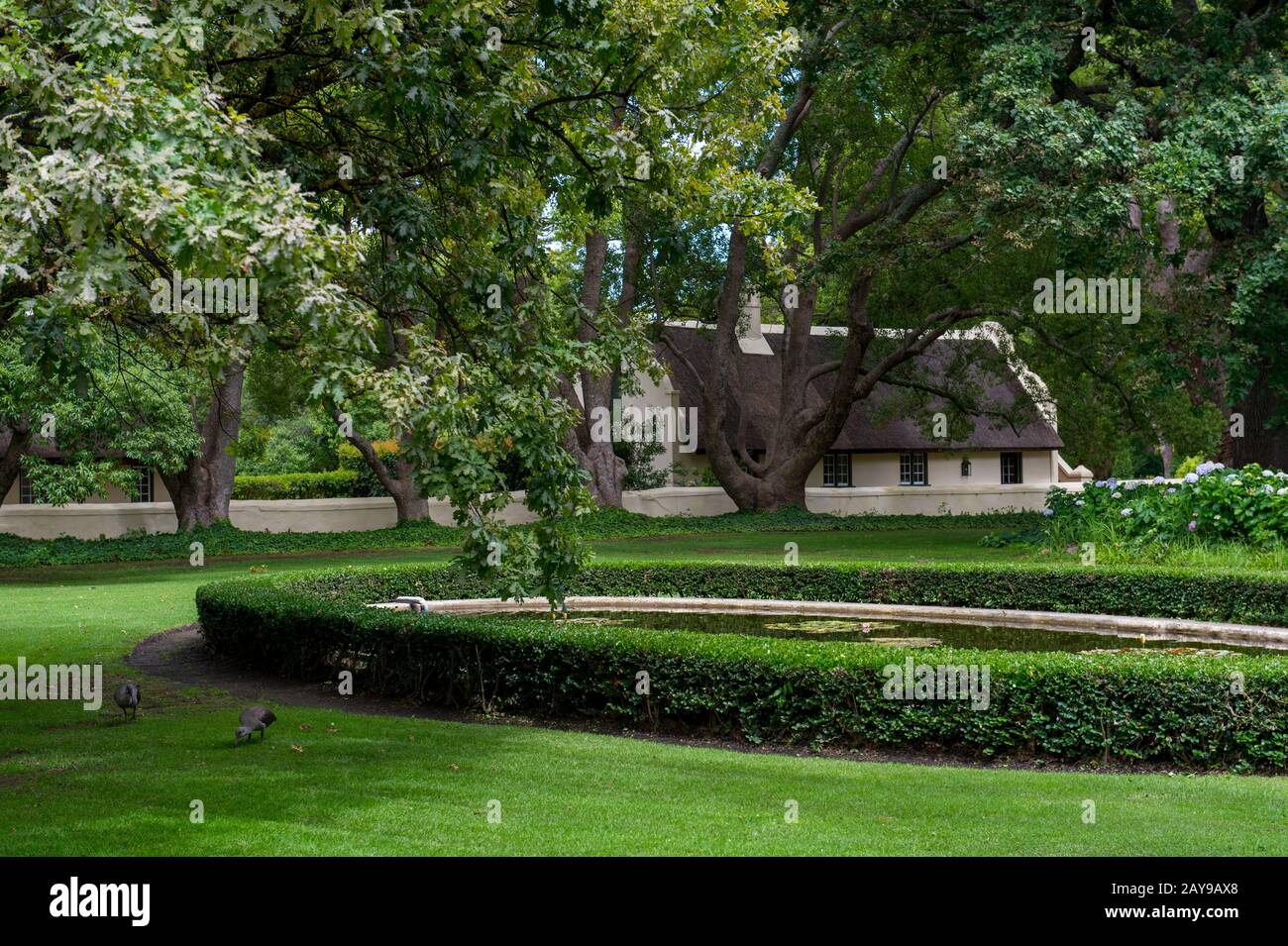 Il giardino di Vergelegen, una storica tenuta vinicola nel Somerset West, nella provincia occidentale del Capo del Sud Africa vicino a Città del Capo. Foto Stock