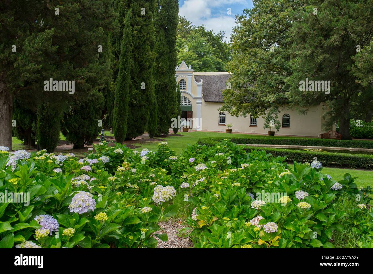 Il giardino di Vergelegen, una storica tenuta vinicola nel Somerset West, nella provincia occidentale del Capo del Sud Africa vicino a Città del Capo. Foto Stock