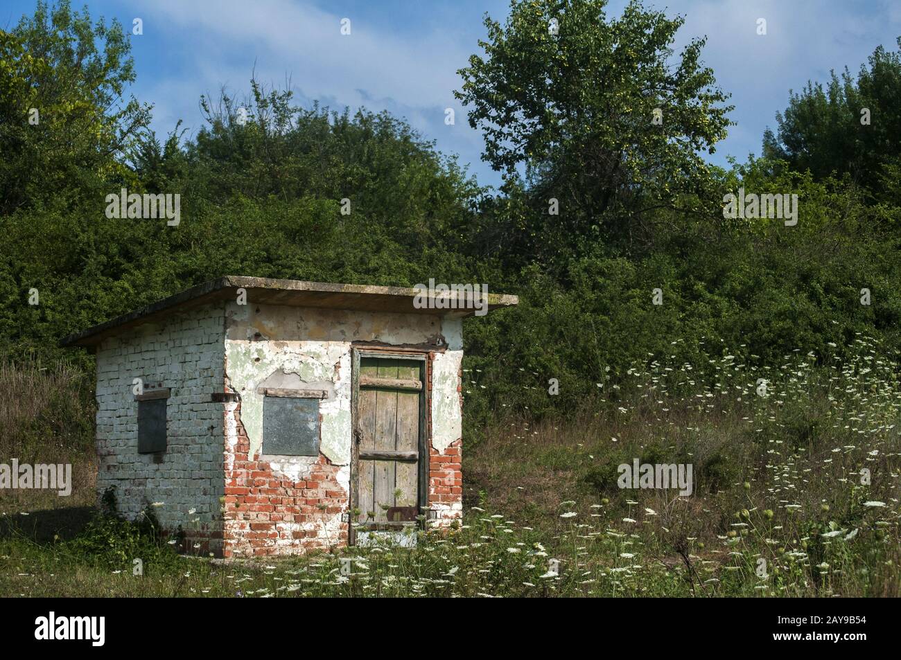 Vecchio weathered grunge solido mattone lavorato farm sparso nella soleggiata giornata estiva Foto Stock