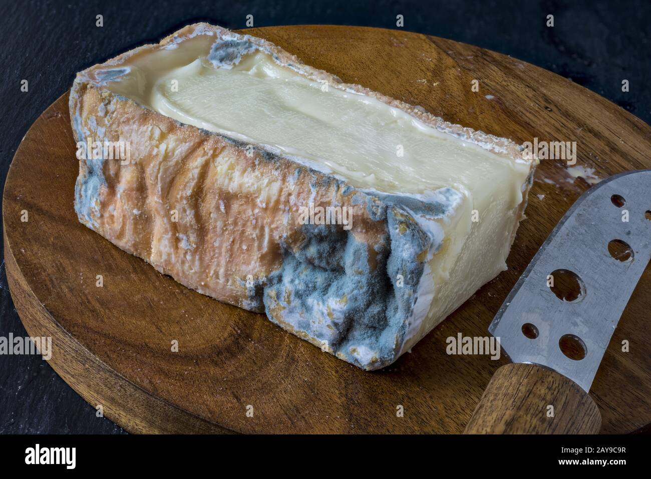 Taleggio, formaggio tenero italiano a bordo di un caseificio Foto Stock