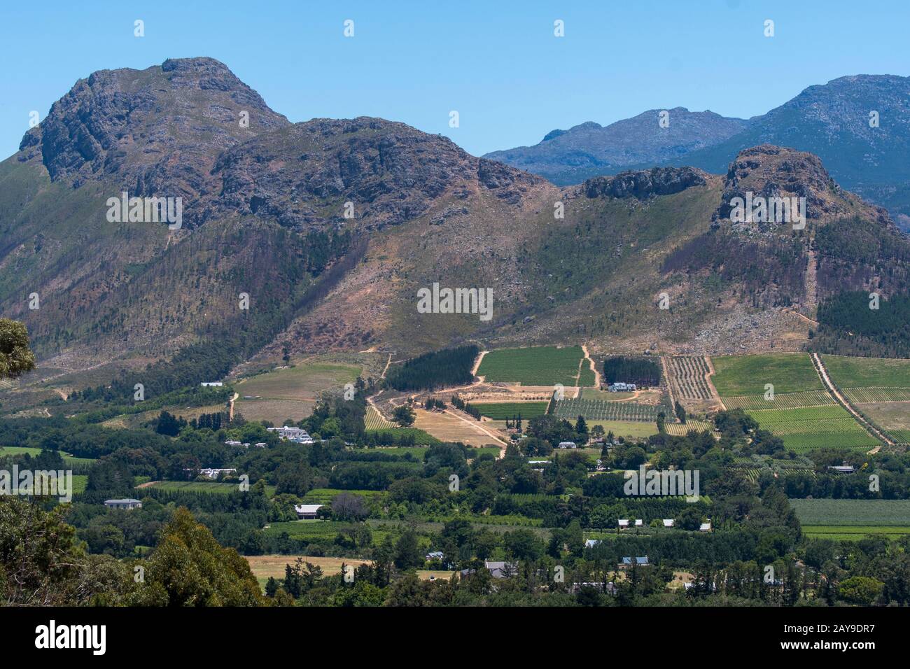 Vista dei vigneti nella Valle di Franschhoek, nella regione di Stellenbosch, nella provincia del Capo Occidentale del Sud Africa vicino a Città del Capo. Foto Stock