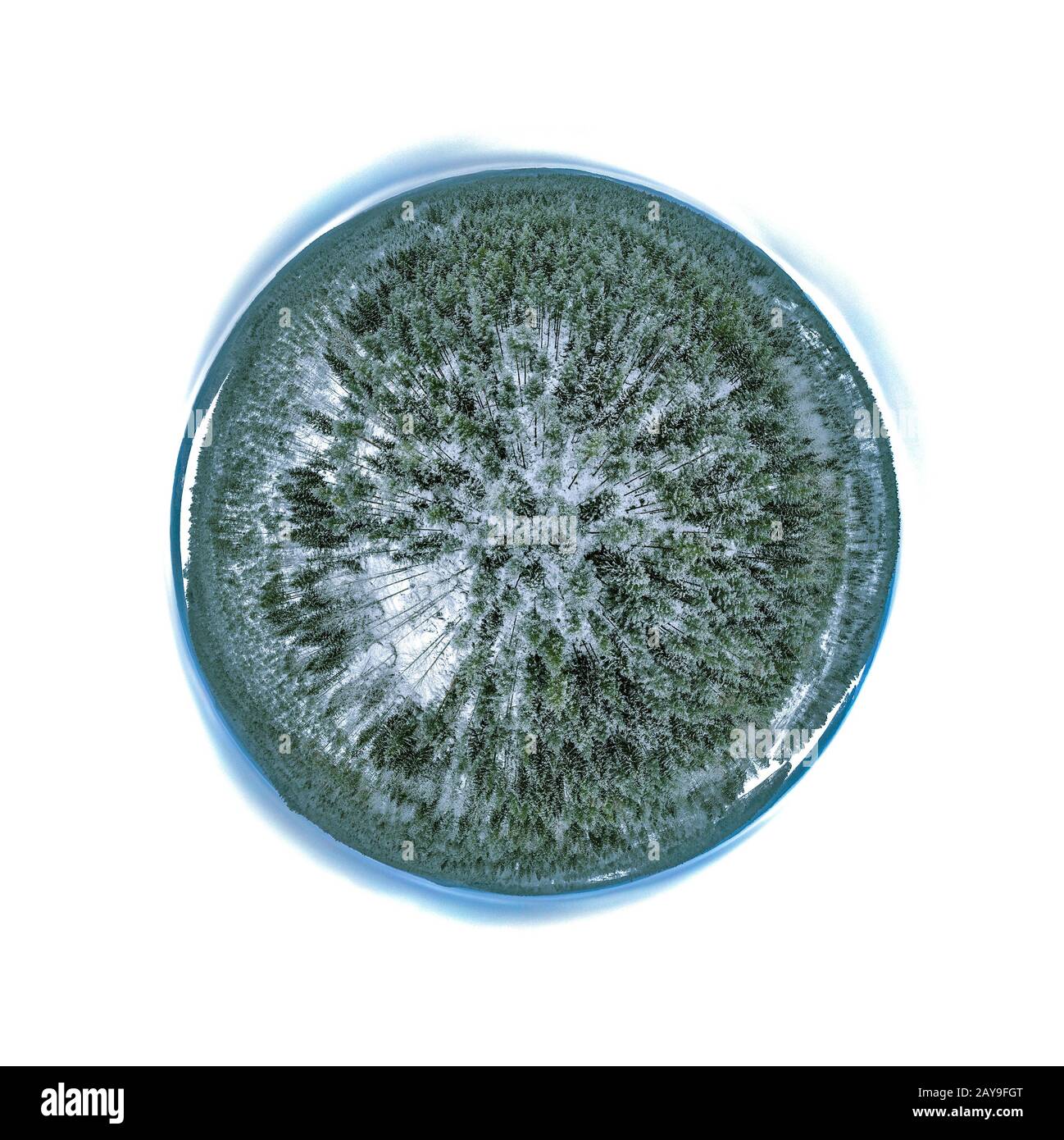 Piccolo pianeta di un bosco invernale Foto Stock