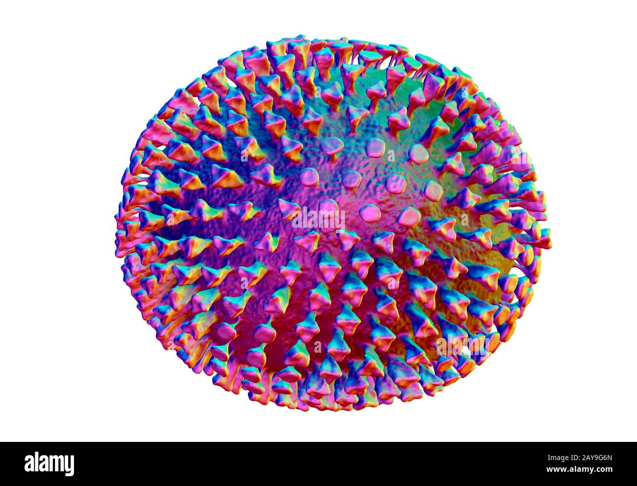 I virus influenzali, illustrazione Foto Stock