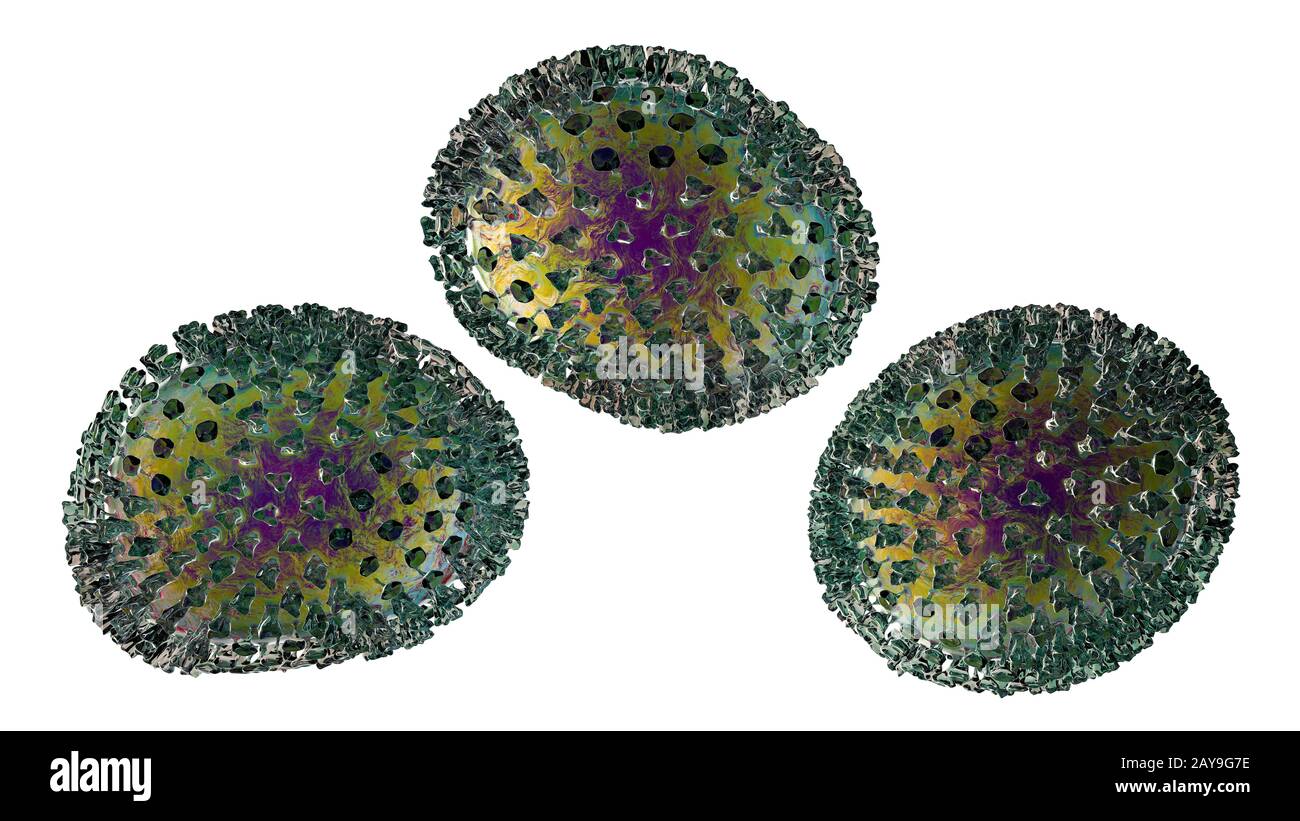 I virus influenzali, illustrazione Foto Stock