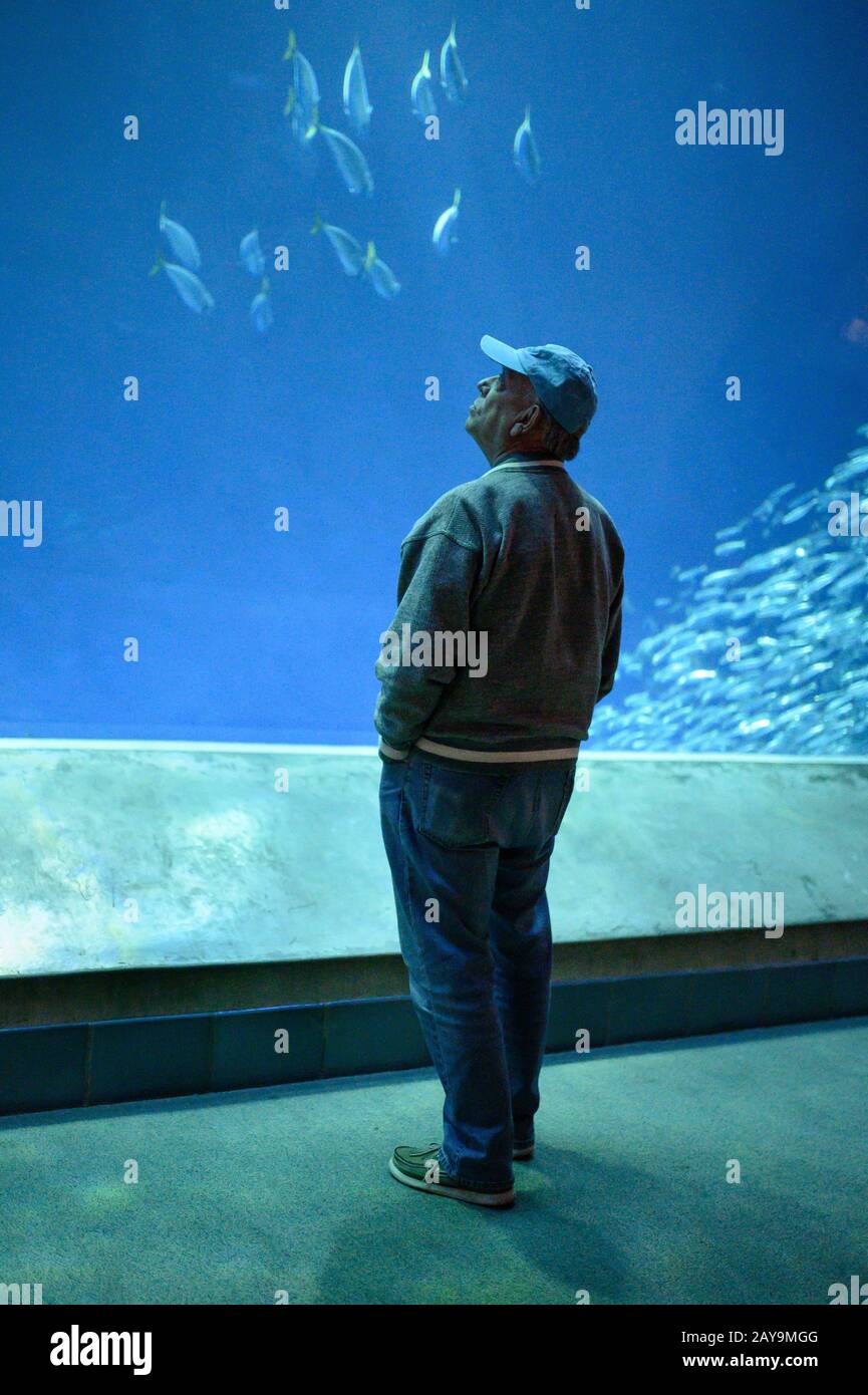 Immagine verticale dell'uomo in piedi vicino a grande serbatoio di pesci all'acquario Foto Stock