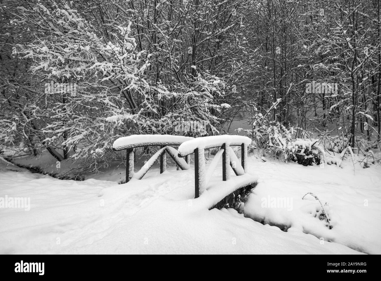 Paesaggio viticolo del parco dei citiferi della città di Hof Foto Stock