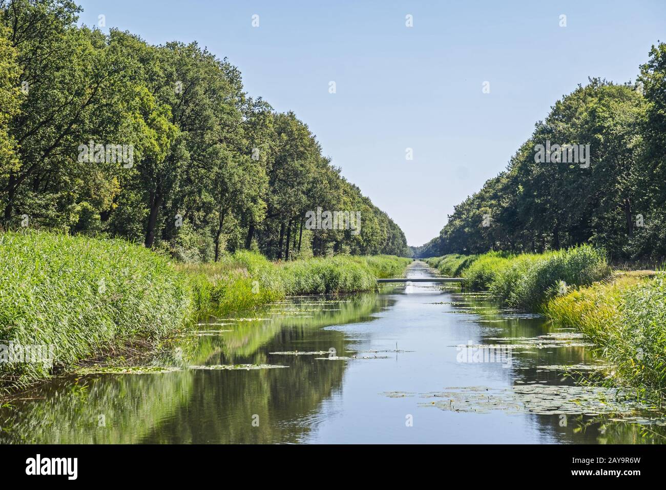 Canale di Almelo-Nordhorn Foto Stock