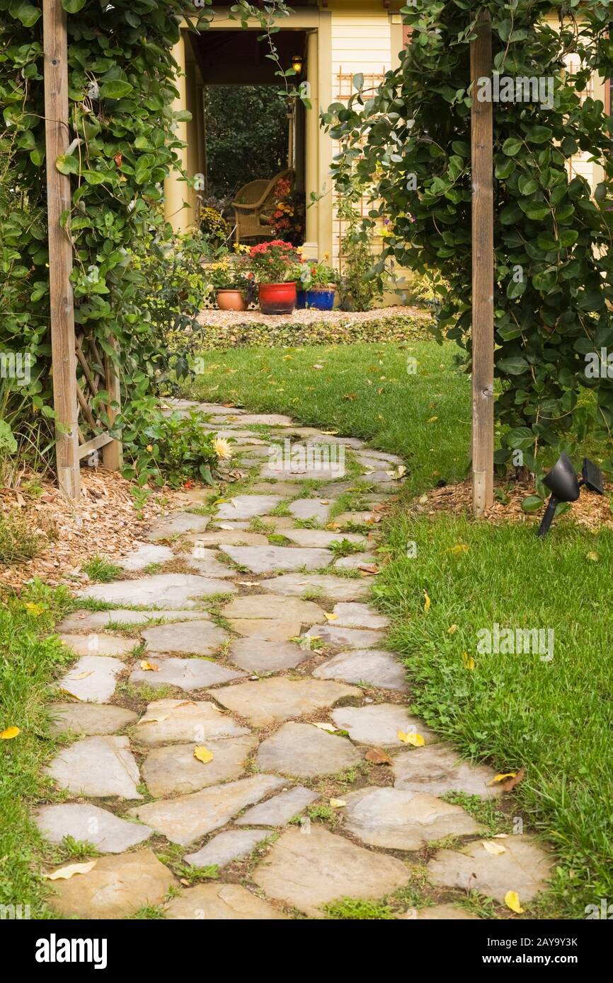 Sentiero flagstone attraverso pergolato di legno coperto con arrampicata Vitis - Viti, vista posteriore di casa gialla con traliccio e teracotta, piallai rossi e blu. Foto Stock
